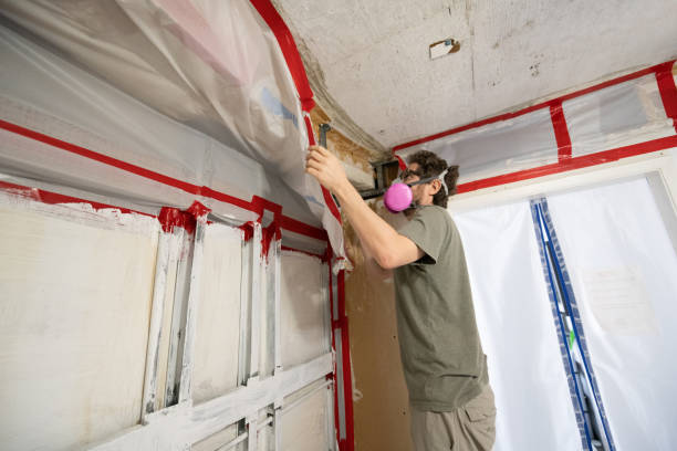 Best Emergency Mold Remediation  in Biola, CA